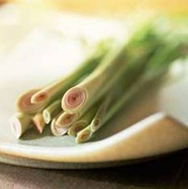 Lemongrass oil use and benefits
pure Lemongrass in India