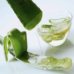 Aloevera Carrier Oil, 100ml.