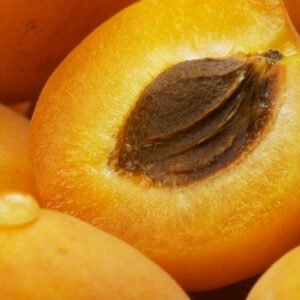 Apricot Carrier Oil